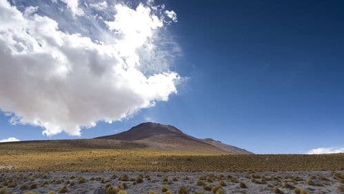 Wildes Lateinamerika Bild 1