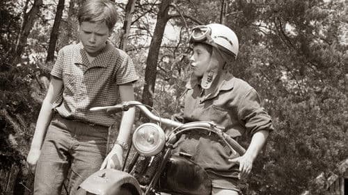 Käuzchenkuhle Bild 1