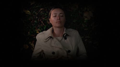 დასაწყისი Bild 3