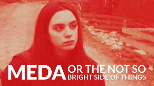 Meda or The Not So Bright Side of Things Bild 1