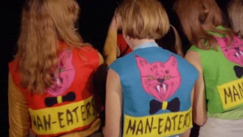 She-Devils on Wheels Bild 2