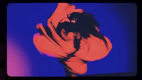 Rebeldía en tacones: un documentdrag Bild 2