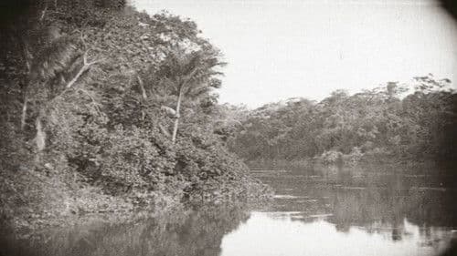Amazonas, o Maior Rio do Mundo Bild 1