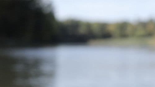 Quidecoe Dreams Bild 1