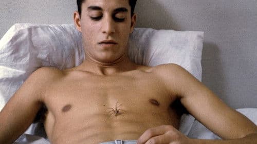 Offene Herzen Bild 1