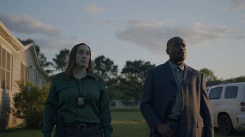 Cubic Zirconia Bild 1