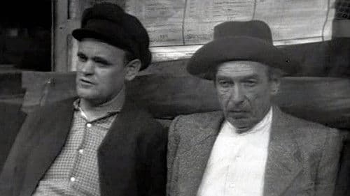 Der Besuch der alten Dame Bild 1