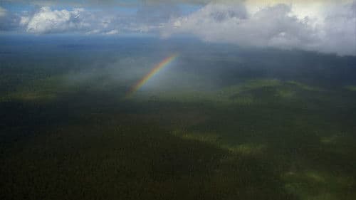 Big River Man Bild 2