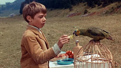 Die Reise im Ballon Bild 6