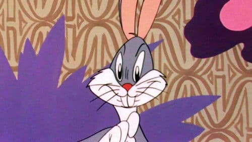 Hula Hula Hase Bild 3