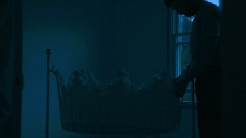 Sometime the Wolf Bild 2