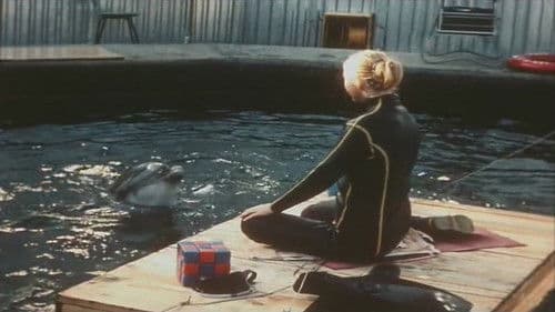 Люди и дельфины Bild 1