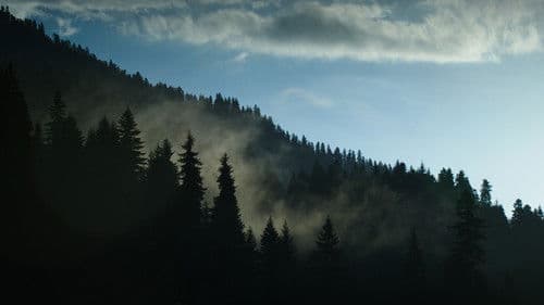 გულისხმა Bild 1