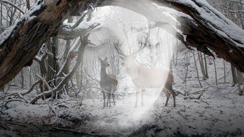 Körper und Seele Bild 5