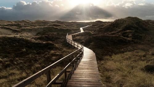 Schwarze Insel Bild 6