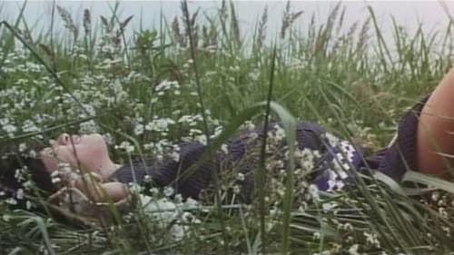 くノ一淫法 百花卍がらみ Bild 6