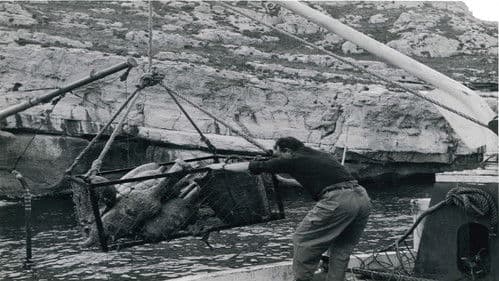 La galère engloutie Bild 2