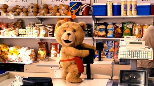 Ted Bild 5