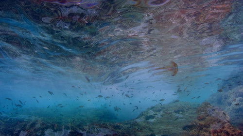 Life in the Blue Bild 1