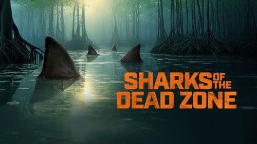 Sharks of the Dead Zone Bild 1