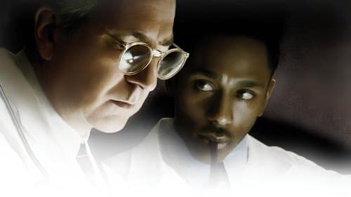 Ein Werk Gottes Bild 1