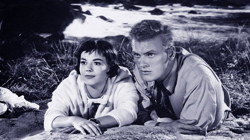 Playboy – Marsch, marsch! Bild 2