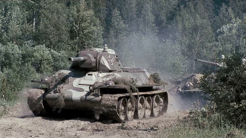 Schlacht um Finnland Bild 3