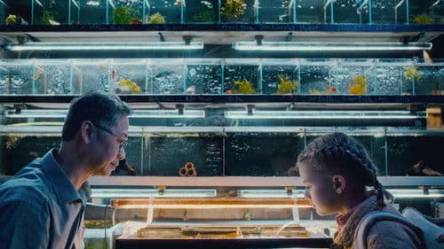 Onderstroom - 暗流 Bild 2