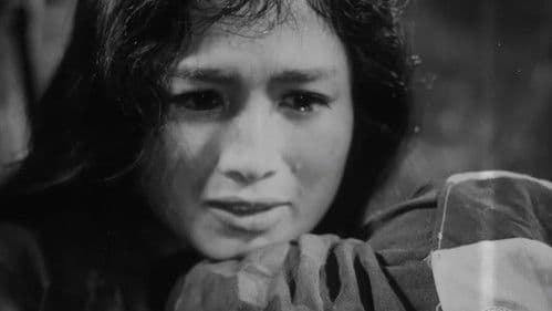 Vĩ tuyến 17 ngày và đêm Bild 1