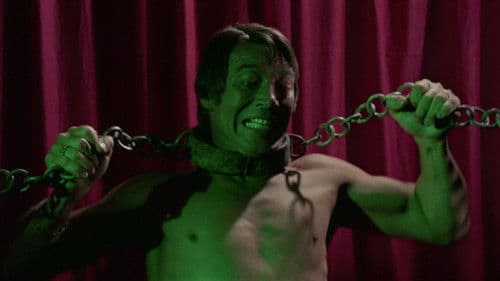 Das Grauen kommt nachts Bild 3