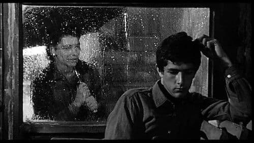 Insel der verbotenen Liebe Bild 4