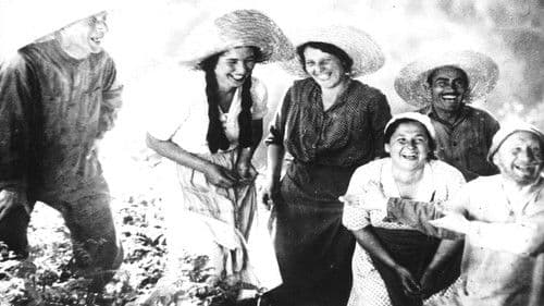 ნარინჯის ველი Bild 2