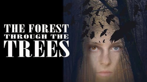 The Forest Through the Trees Bild 2