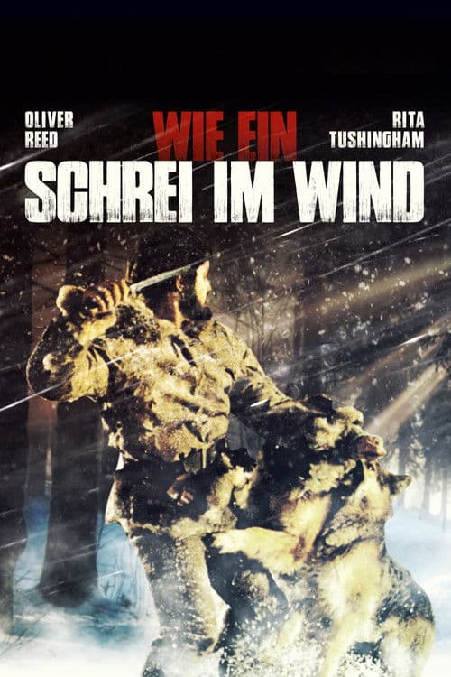 Wie ein Schrei im Wind