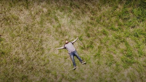 AJ Goes to the Dog Park Bild 2