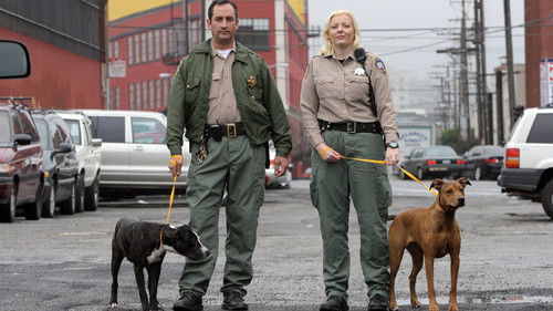 Animal Cops: San Francisco Bild 3