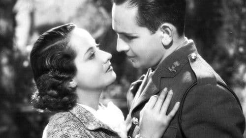 Der Weg im Dunkel Bild 7