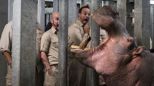 Les Touristes Bild 4