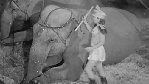 Here Comes the Circus Bild 1