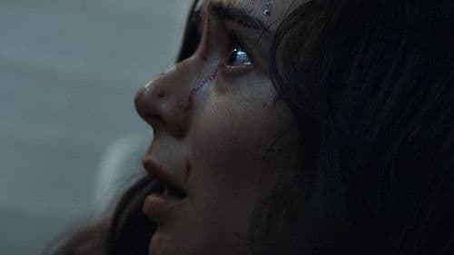 The Silhouette Bild 1