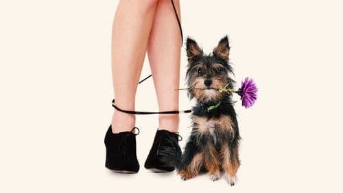 Amor auf vier Pfoten Bild 3