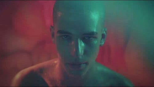 Heile Gänsje Bild 1