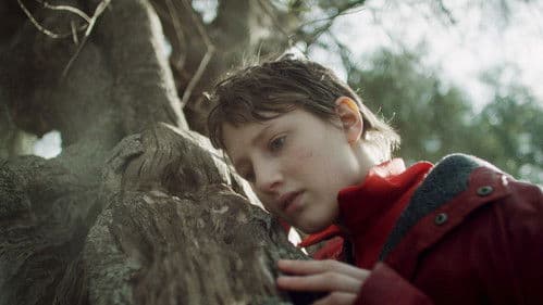 Semina il vento Bild 1