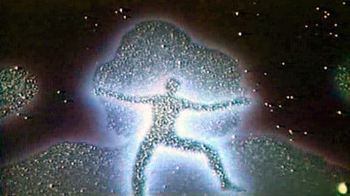 The Transformer Bild 3