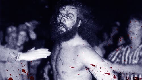 Dark Side of the Ring Bild 7