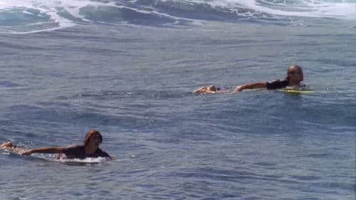 Psychic Migrations Bild 4