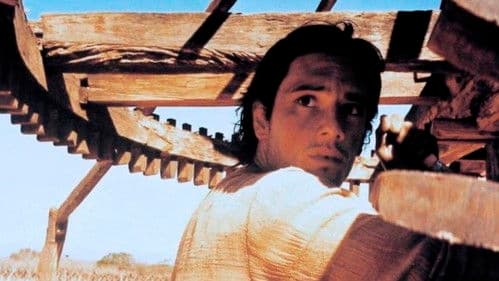 Hinter der Sonne Bild 3