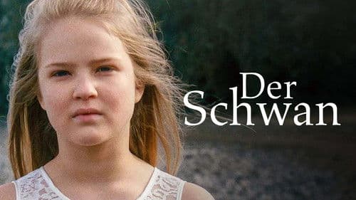 Der Schwan Bild 6
