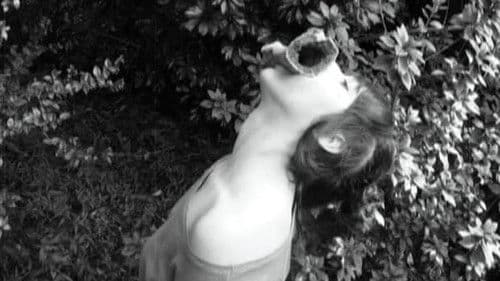 How to Irritate Hardcore Dandies Bild 1