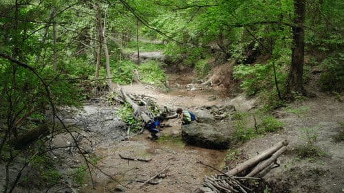 Rókavadászat Bild 1